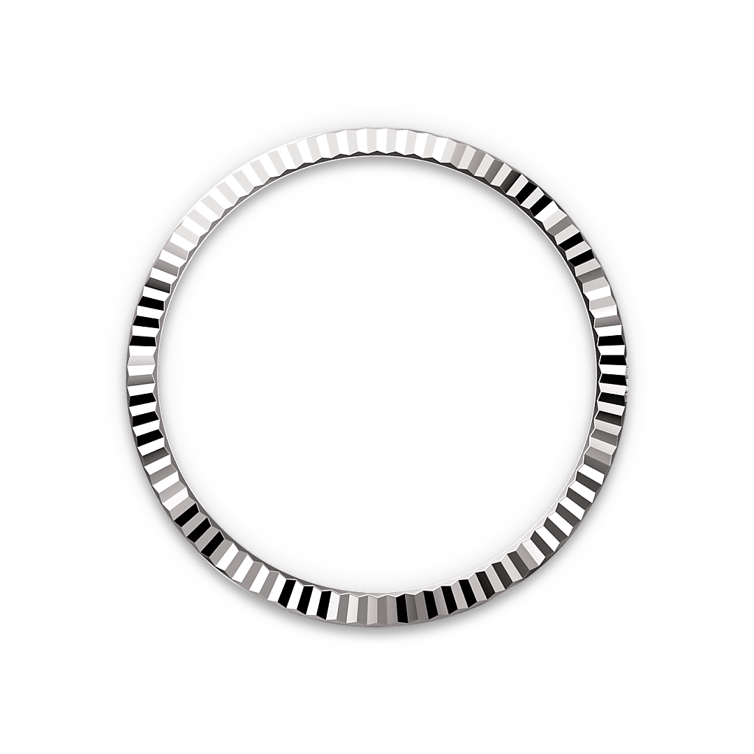 Rolex Datejust de Rolesor blanco —combinación de acero Oystersteel y oro blanco, M126234-0051 | Brela