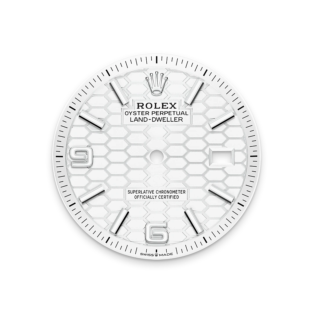 Rolex Land-Dweller de Rolesor blanco —combinación de acero Oystersteel y oro blanco, M127234-0001