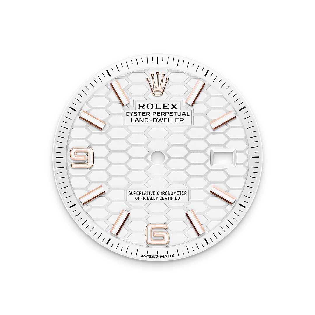 m127235-0001-dial-landscape | Brela Rolex Land-Dweller de Rolesor blanco —combinación de acero Oystersteel y oro blanco, M127235-0001 | Brela