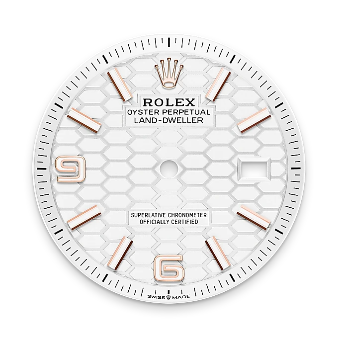 m127235-0001-dial-portrait | Brela Rolex Land-Dweller de Rolesor blanco —combinación de acero Oystersteel y oro blanco, M127235-0001 | Brela