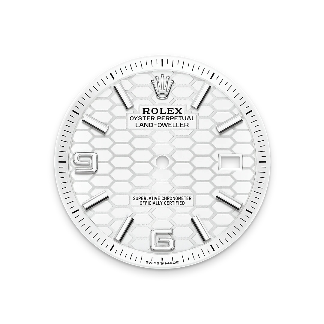 Rolex Land-Dweller de Rolesor blanco —combinación de acero Oystersteel y oro blanco, M127334-0001 | Brela