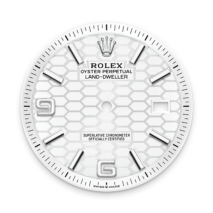 Rolex Land-Dweller de Rolesor blanco —combinación de acero Oystersteel y oro blanco, M127234-0001