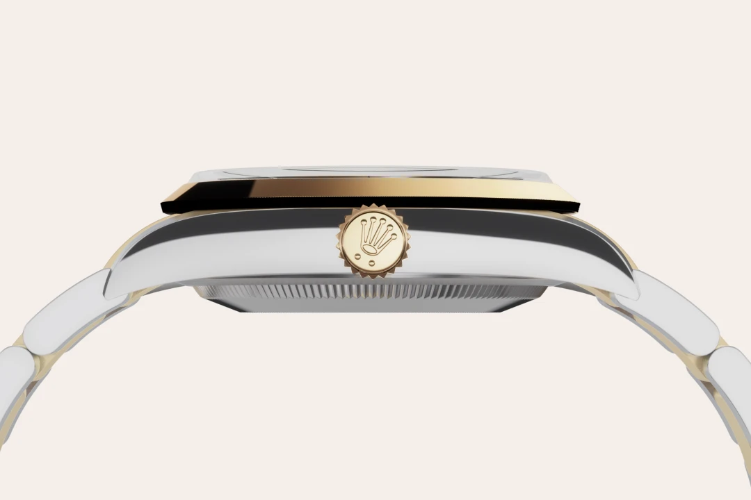 Close-up side view of a two-tone metal watch with a gold crown and silver bracelet, showcasing the case profile. | Brela