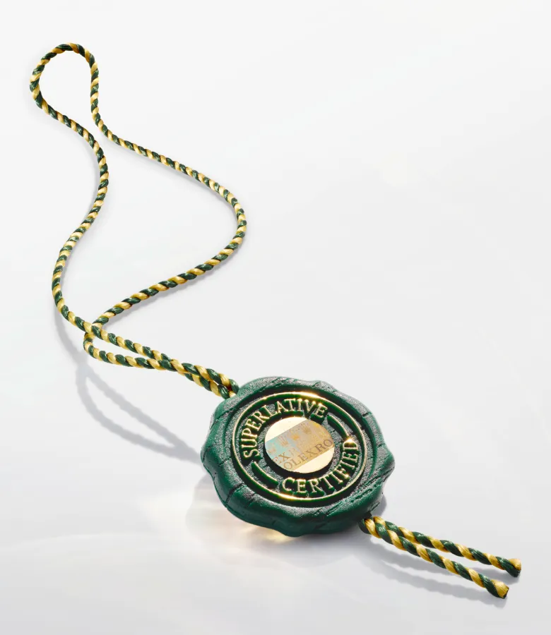 rolex-oyster-story-elmt_2602stj_0002_ecirgb-portrait | Brela | Brela