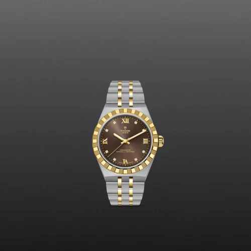 Two-tone gold and silver Tudor wristwatch with a brown dial on a dark background.