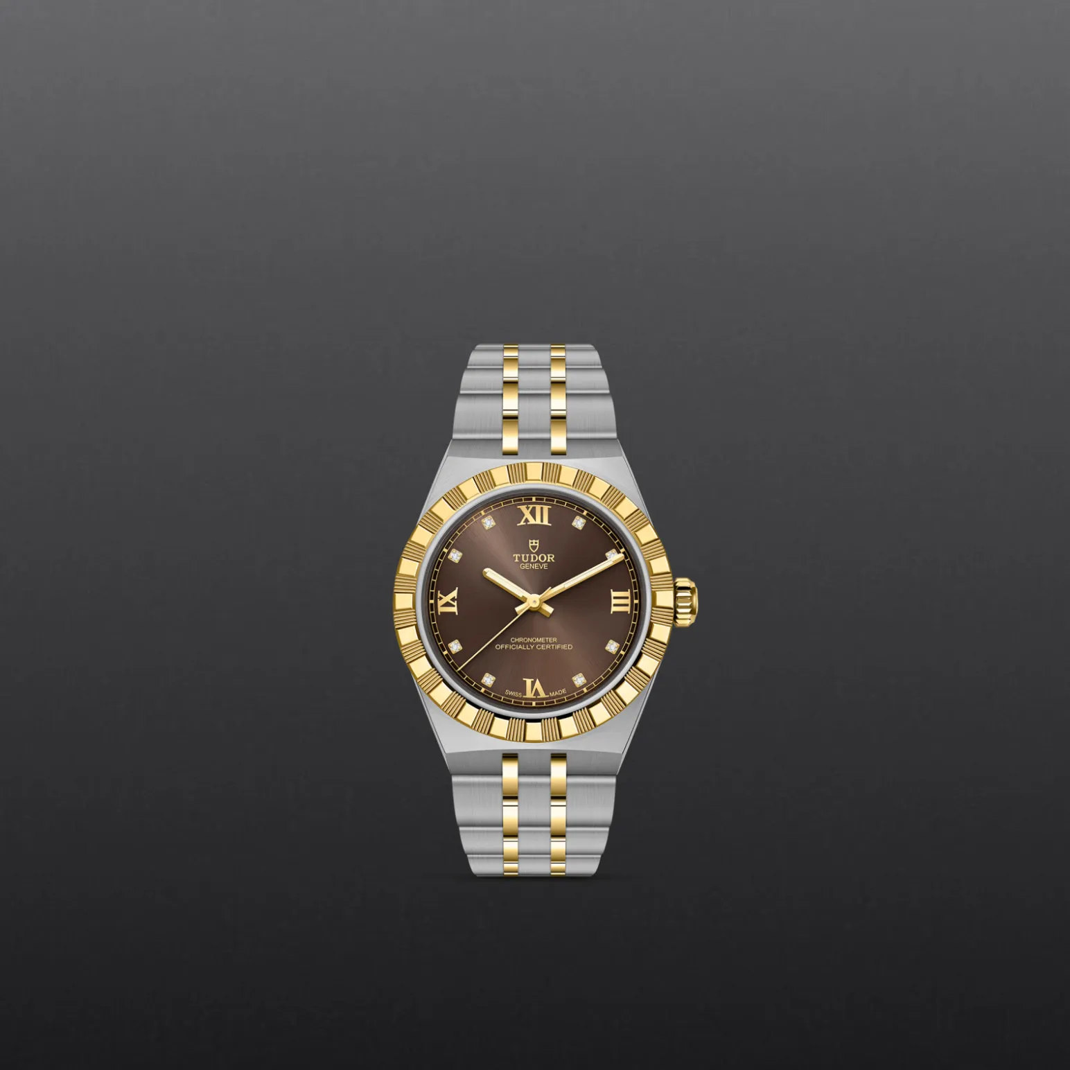 m2830a1a3-0001-upright_watch_grey_background-model_page_only_standard_size | Brela Two-tone gold and stainless steel Tudor wristwatch with a brown dial, diamond hour markers, and a fluted gold bezel against a dark gradient background. | Brela