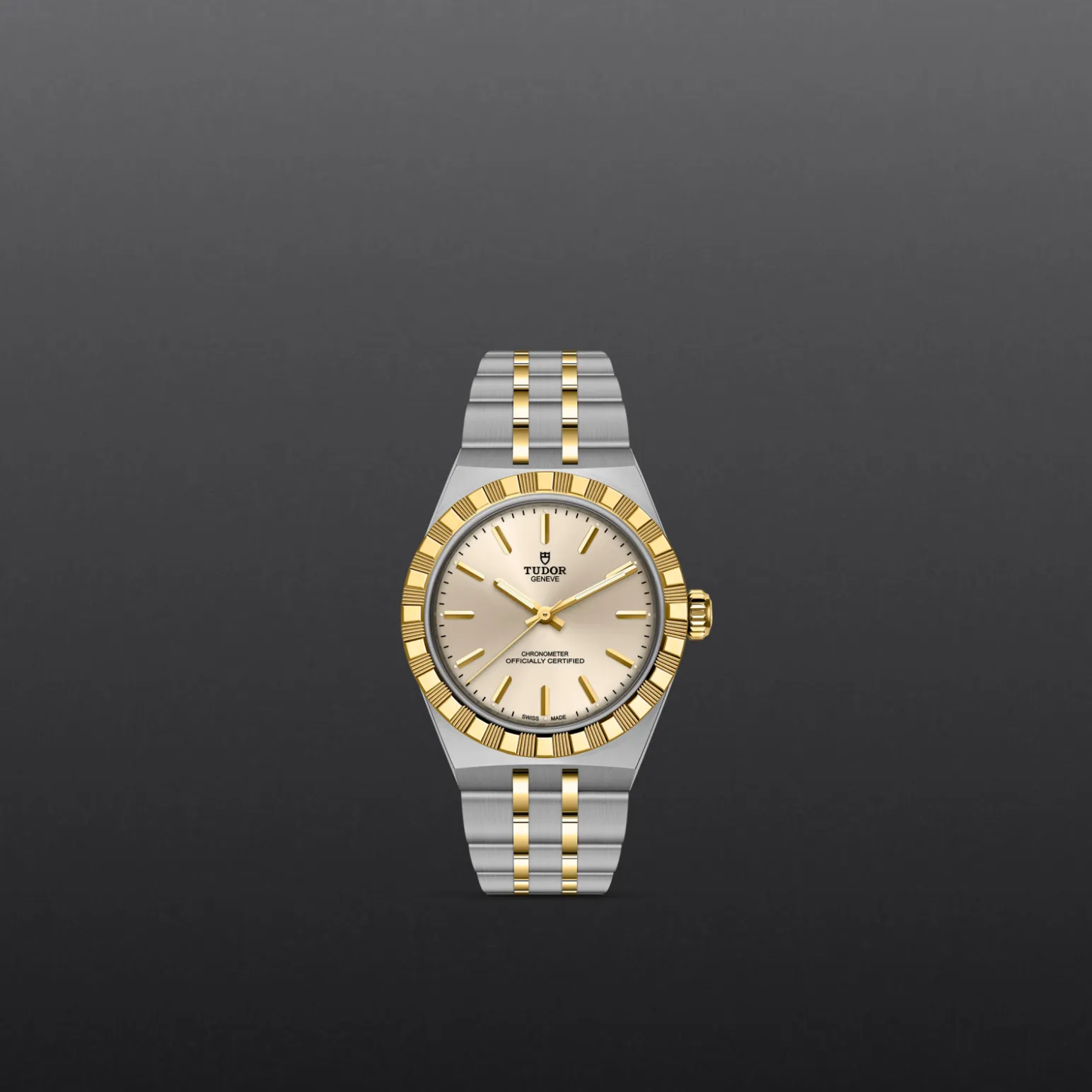 m2830a1a3-0003-upright_watch_grey_background-model_page_only_standard_size | Brela Two-tone (gold and steel) Tudor wristwatch with a gold fluted bezel and beige dial, centered on a dark gradient background | Brela