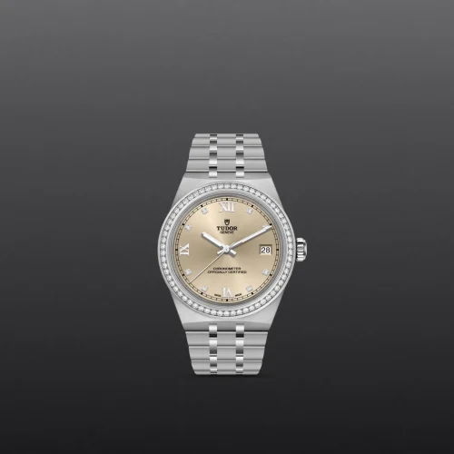 Silver-toned Tudor wristwatch with a diamond-studded bezel, champagne dial, and date window at 3 o'clock; metal bracelet visible at bottom of image.