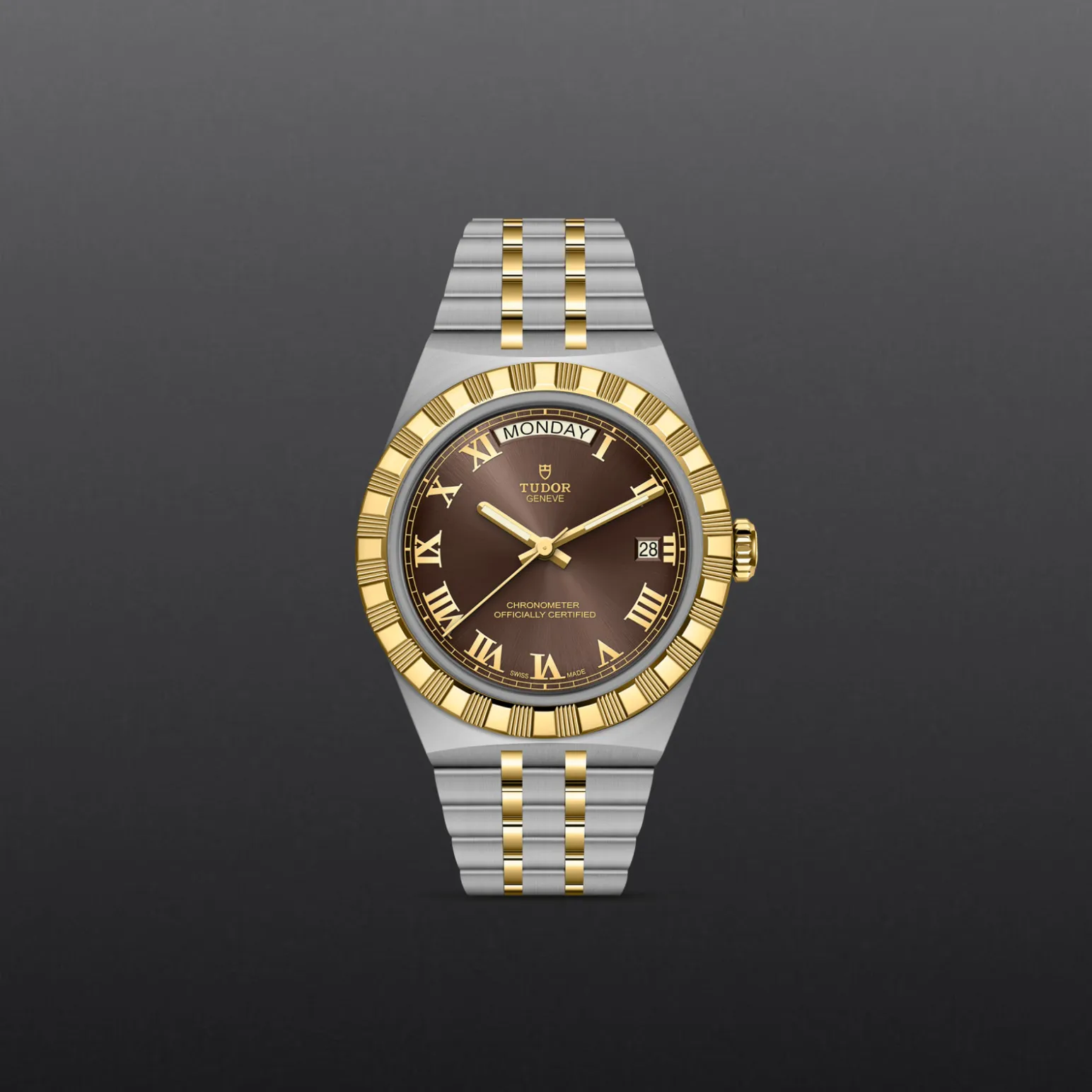 m2840d1a3-0001-upright_watch_grey_background-model_page_only_standard_size | Brela Two-tone gold and stainless steel Tudor wristwatch with a brown dial, Roman numerals, date window, and fluted bezel. | Brela