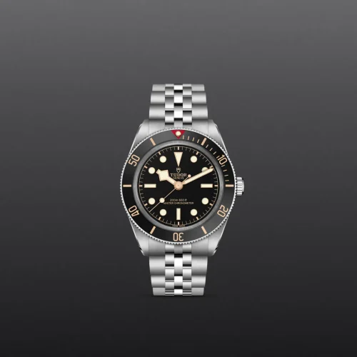 Close-up of a Tudor dive watch with a black dial, luminous circular markers, and a silver stainless steel bracelet against a dark gray background.