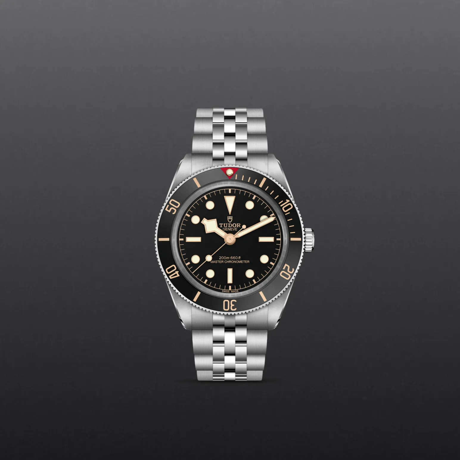 m7939a1a0nu-0001-upright_watch_grey_background-model_page_only_standard_size | Brela Stainless steel Tudor wristwatch with a black dial, gold markers, and a rotating bezel, centered against a dark gray background. | Brela