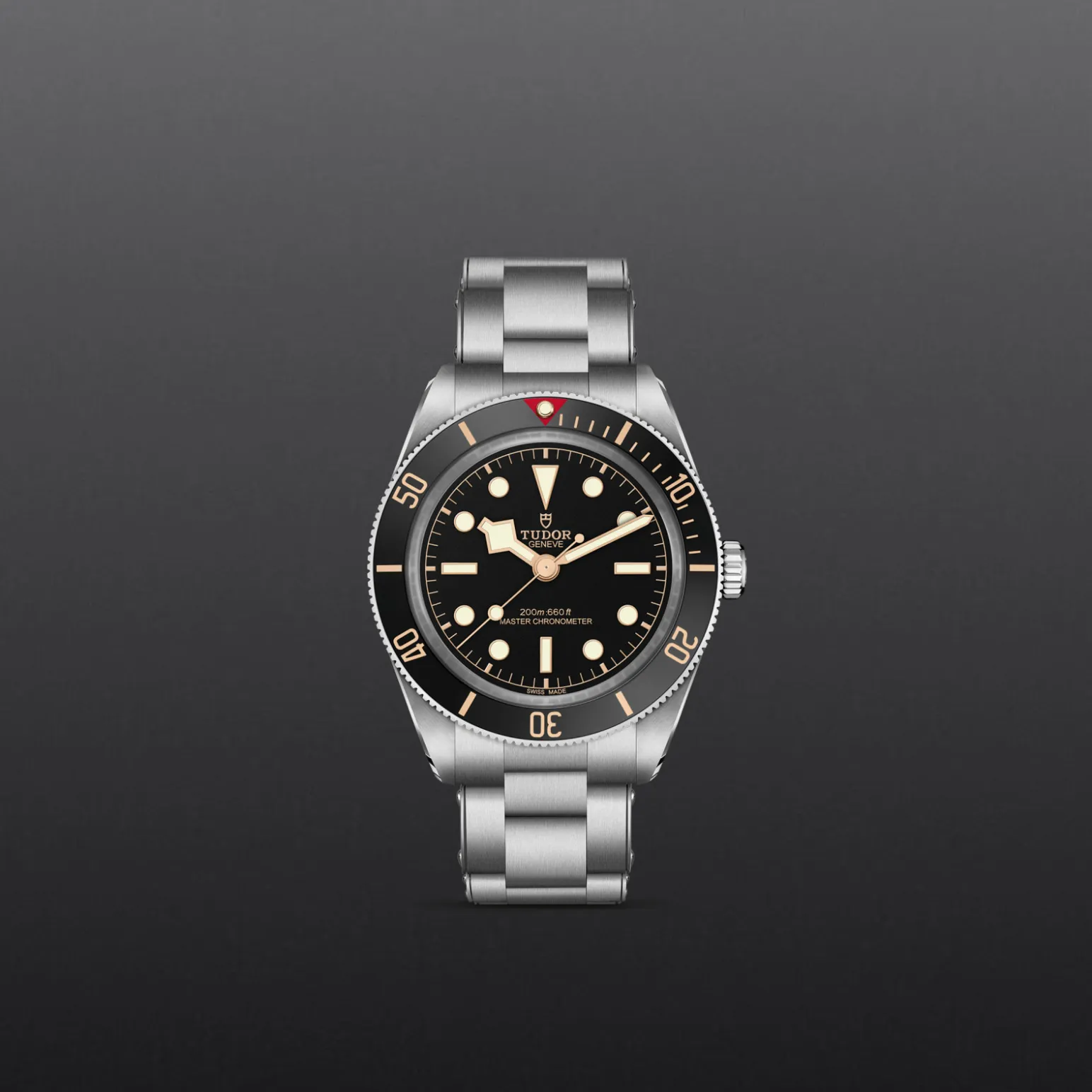 m7939a1a0nu-0002-upright_watch_grey_background-model_page_only_standard_size | Brela Product photo of a silver Tudor dive watch with black dial, gold markers, and a rotating bezel against a gray background. | Brela