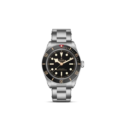Stainless steel Tudor dive watch with black dial, gold markers, and rotating bezel shown from front view with bracelet visible