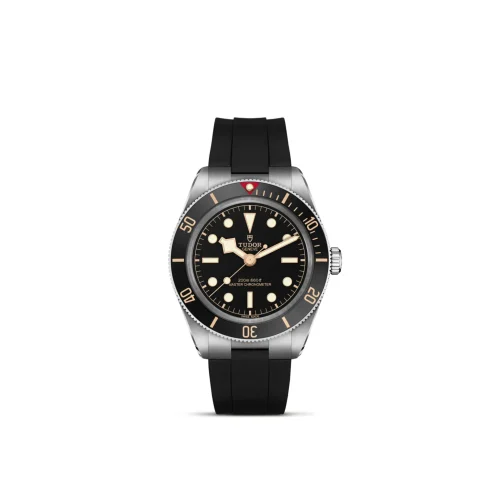 Tudor dive watch with black dial, gold-tone markers, stainless steel case, and black rubber strap.