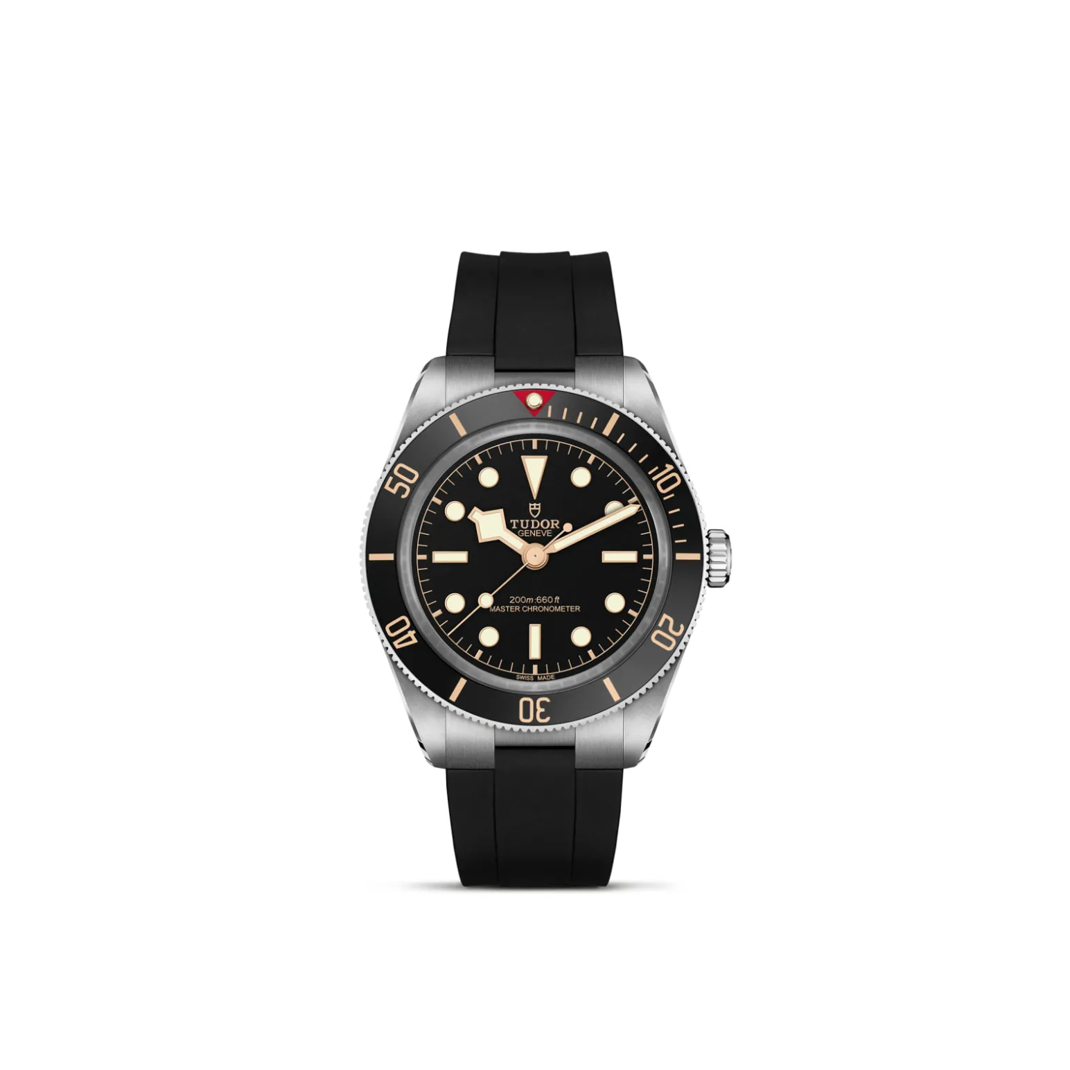 m7939a1a0nu-0003-upright_watch_white_background-model_page | Brela Tudor dive watch with black dial, gold indices, and black rotating bezel on a black rubber strap. | Brela